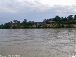 IMGP0235